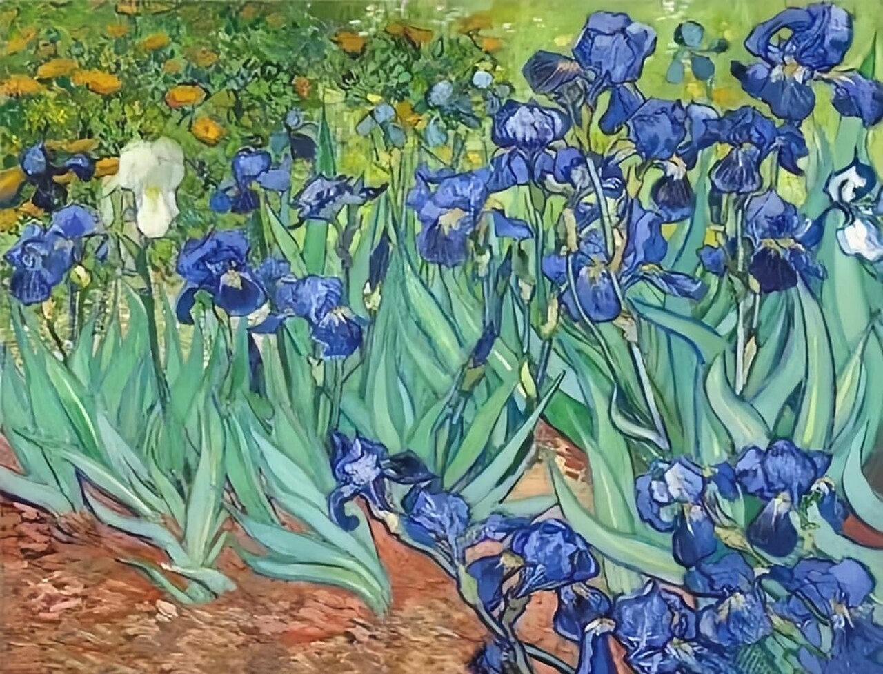 Diamond Painting Kit – Van Gogh “Irises” 5D Full Drill DIY Art, 12×16 in (30×40 cm), Adult & Teen Craft & Home Decoration Gift